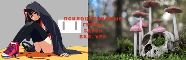 амф Белокуриха