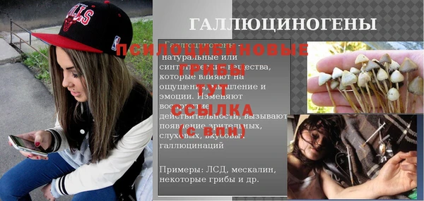 амф Белокуриха
