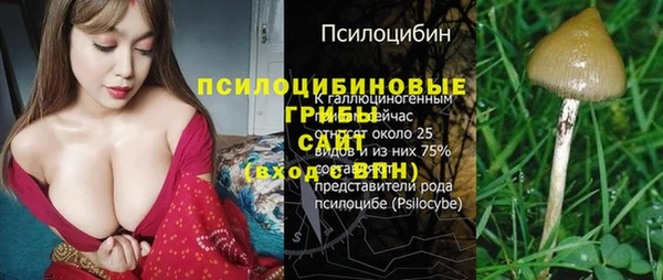 амф Белокуриха