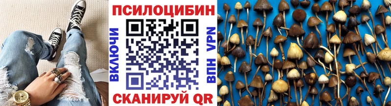 Галлюциногенные грибы Psilocybine cubensis Череповец
